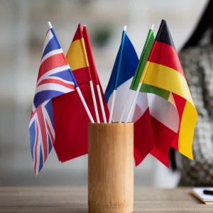 Language Training