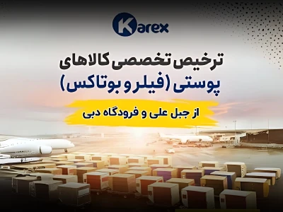 ترخیص تخصصی کالاهای پوستی